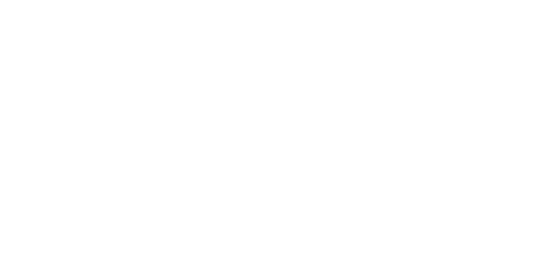 TheLocks.co-Logo-White-ClearBKG